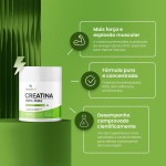 Creatina 100% Pura - Creatine Monohydrate 300g, Fortalvit - Imagem 5