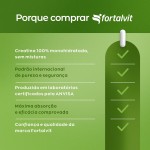 Creatina 100% Pura - Creatine Monohydrate 300g, Fortalvit - Imagem 6