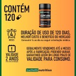 Curcuma em capsulas curcuma Longa Natural 500mg 120 Cápsulas Açafrão Terra Puro Pura - Imagem 3