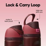 Owala FreeSip - Aço inoxidável - 680 g - Cereja vermelha preta - Imagem 3