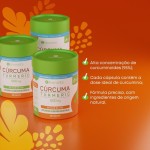 Cúrcuma 600 mg 30 Cápsulas - Bioroots - Antioxidante e Anti-inflamatório - Imagem 3