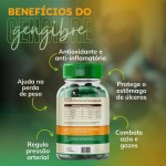 O. Pro N Cúrcuma + Gengibre Premium 100% Natural 500mg 120 Cápsulas - Imagem 3