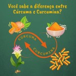 Kampo de Ervas, Curcumina e Cúrcuma Pura Orgânica 90cps de 600mg Kampo Ervas - Imagem 6