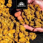 Kampo de Ervas, Curcumina e Cúrcuma Pura Orgânica 90cps de 600mg Kampo Ervas - Imagem 9