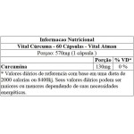 Vital Atman Curcuma 400Mg c/60 Caps - Imagem 2