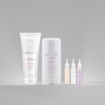 Amend Essencial Kit de Tratamento Capilar Seca Sem Frizz + Acidificante Máscara de Equilíbrio do pH + Ampolas de Reparação - Imagem 2