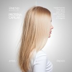 Amend Essencial Seca sem Frizz + Proteína Capilar + Acidificante (3 Produtos) - Imagem 2