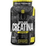 Atlas Creatina Cápsulas - 60 Caps - 100% Pura