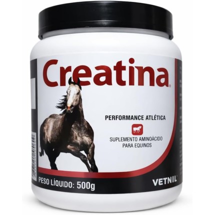 CREATINA 500G