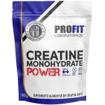 Creatine Monohydrate Power Profit 300g Refil
