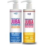 Higienizando E Condicionando A Juba Widi Care 500ml