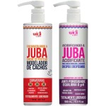 Kit Juba Widi Care Creme De Pentear Encaracolando + Acidificante Anti Porosidade Capilar 500g