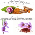 Kit 3X: Cúrcuma (Açafrão Terra) Orgânico Kampo de Ervas 250g - Imagem 6