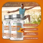2 Potes Curcuma Longa 100% Curcumina Pura 500Mg 60 Cápsulas Ecomev - Imagem 3