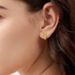 FLORA BRINCOS FEMININOS BRINCO GATO FOLHEADO OURO 18K ZIRCÔNIA CRAVEJADA - Imagem 2