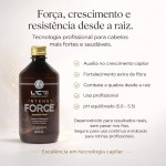 Linha Intensy Force, Kit Completo com Shampoo, Máscara e Tônico Força para Crescimento Capilar, 500ml + 500ml + 30ml L'Cri - Imagem 5