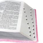 Bíblia Sagrada ARA Letra Gigante | Letra Gigante SBB: Almeida Revista e Atualizada (ARA) - Imagem 7