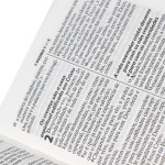Bíblia Sagrada ARA Letra Grande | Letra Grande SBB: Almeida Revista e Atualizada (ARA) - Imagem 7