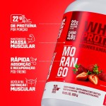 Whey Protein 100% Concentrado Morango 900g 3VS Nutrition · Proteína Pura · 18g por Porção · 30 doses · Sem Açúcar - Imagem 3