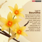 Whey Protein 100% Isolada Baunilha 900g - Bodybuilders - Imagem 2