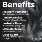 Prohall Máscara Matizadora Black Gloss - Desamarelador Loiro Cinza e Platinado, Hidratação Profunda, 500ml - Imagem 3