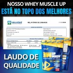 Whey Protein 3W 100% 24g De Proteína/Dose (30g) Baixo Carboidrato Sem Glúten - 2KG - Muscle Up Nutrition (2KG, Chocomaltine) - Imagem 5