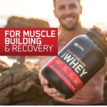 Whey Protein 100% Gold Standard - 907G Baunilha, Optimum Nutrition - Imagem 7