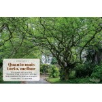 Revista Natureza 421 - Imagem 3