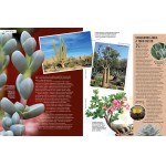 Revista Natureza 421 - Imagem 5