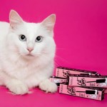 Delineador Preto - Cat Lovers - Vizzela - Vizzela - Imagem 6