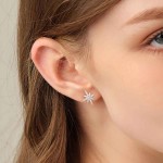 FLORA BRINCO FOLHEADO A OURO 18K ESTRELA ZIRCÔNIA CRAVEJADA - Imagem 2