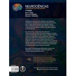 Neurociências: Desvendando o Sistema Nervoso - Imagem 2
