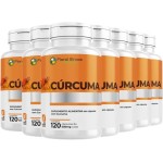 Floral Ervas do Brasil, Cúrcuma 500 mg 7x 120 Cápsula Açafrão Tumérico Açafrão Índia - Imagem 2
