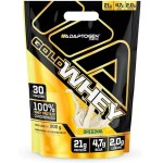 Gold Whey Original 900g BAG