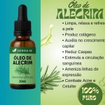 Kit Crescimento Capilar Tônico Anti-Queda Óleo de Alecrim 100% Puro – Fortalece, Estimula o Crescimento e Reduz a Queda - Imagem 2
