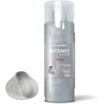 Le Charmes Matizador Intensy Color Silver 300ml