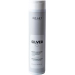 Shampoo Matizador Grisalhos Silver Pro Eclat Hair Care 300ml