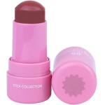 Ana Hickmann Stick Blush Matte Dorothy