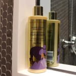 Pantene ProV Gold Series Boost, xampu de umidade, 24 ml - Imagem 9