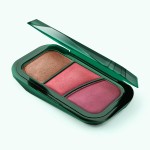 Paleta Blush Iluminador Hot Pink 3 Tons Cores Coordenadas 82.9g